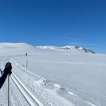 Prázdninový dům Cozy Family Friendly At Beautiful Location!