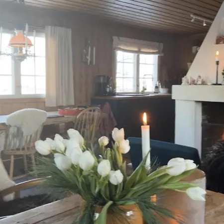 Cozy Family Friendly At Beautiful Location! Geilo