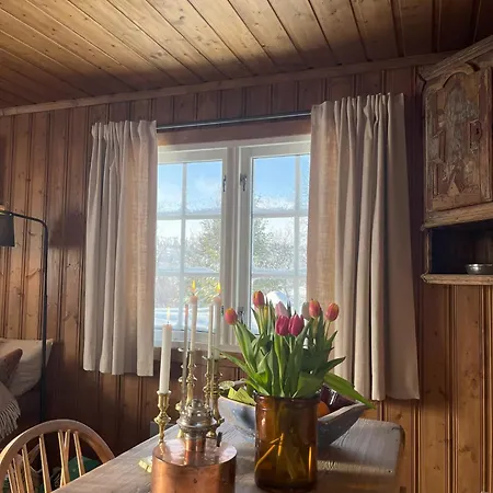 Prázdninový dům Cozy Family Friendly At Beautiful Location! *