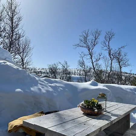 Cozy Family Friendly At Beautiful Location!