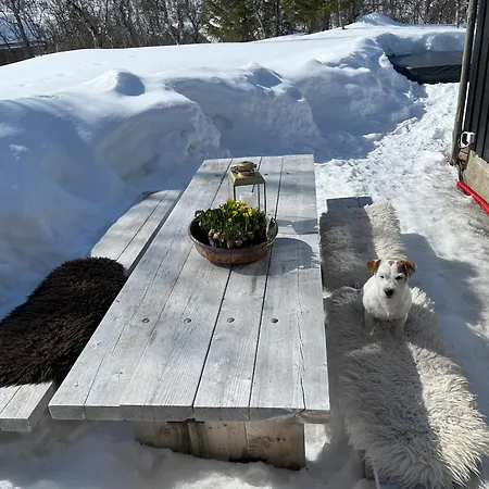 Prázdninový dům Cozy Family Friendly At Beautiful Location!