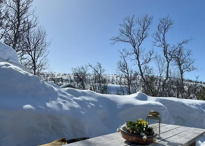 Cozy Family Friendly At Beautiful Location!